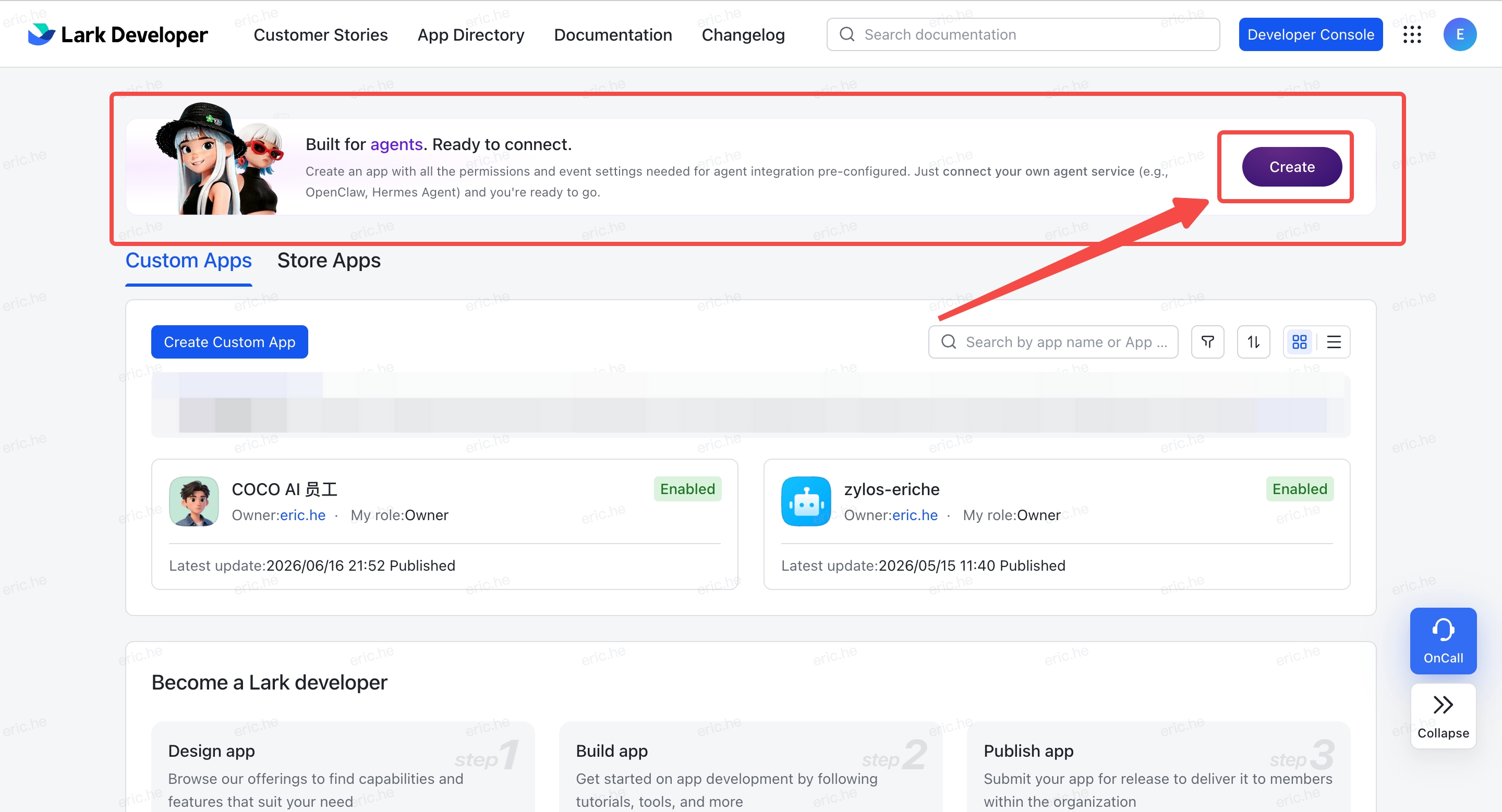 Lark Developer Backend — click Create Now for Smart Agent app